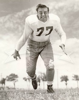 Hal Quinn