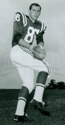 Dave Sherer With Baltimore Colts